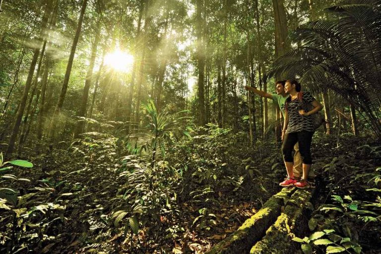 8 Port Nature Di Johor Untuk Peminat Alam Semulajadi. Destinasi Hijau ‘World Class’!