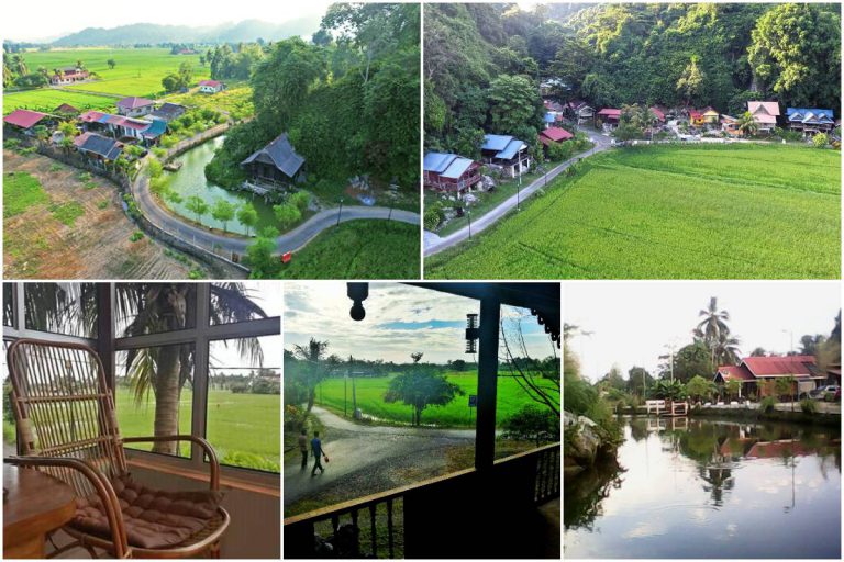 Homestay Ujung Bukit Perlis, Penginapan Ideal Untuk Korang Yang Suka View Sawah Padi