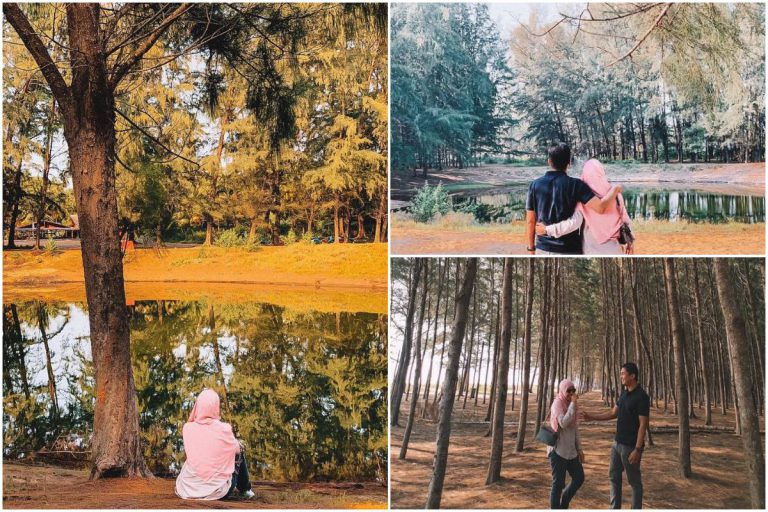 ‘Musim Luruh’ Di Kelantan Macam Kat Korea! Kalau Rindu, Boleh Singgah!