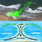 83118717_1239820276223432_4705532866321186816_n