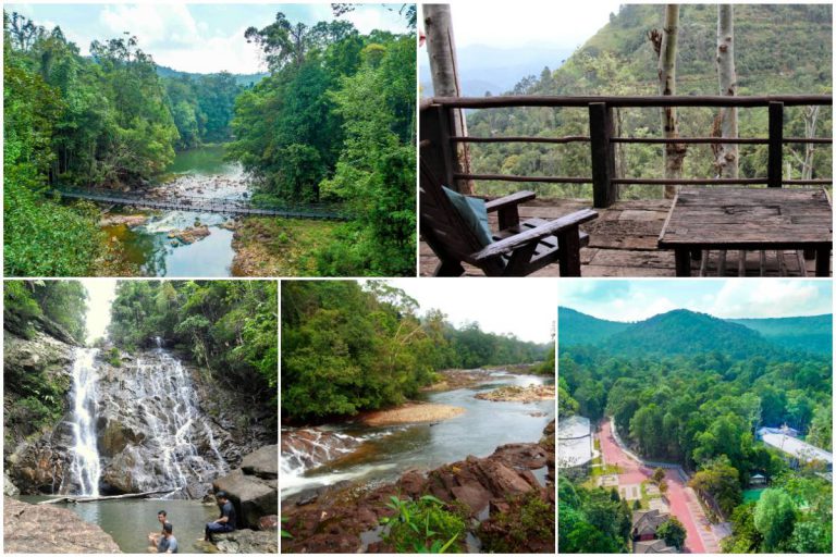 Selepas 4 Tahun Ditutup, Taman Negeri Rompin, Pahang Sedia Terima ‘Kaki Nature’ 1 Oktober Ini