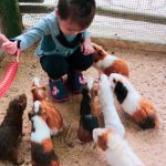 1675f9d7-0cb0-41ff-b29d-d229bf2d88d2