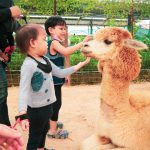 5e40f21b-e7cd-496a-b26a-98397bdb123b