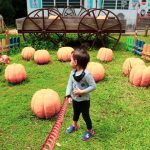 54fb72cd-af72-4d7a-b714-45bf61faa438