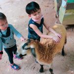 d7bd5867-ad86-4227-b9fb-e34a4f8d5521