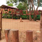 33be29ab-0855-4681-9988-b63df63d8dc2