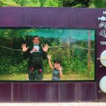 fe89527b-2d97-4e78-bb23-99f364d793fb