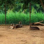 585a59e1-d0f9-436b-94f6-a383e3da8390