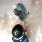 92d21468-4563-42b4-81cd-b9e7127b425e