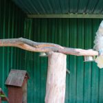 63241951-53db-4910-a6e7-3cf48daa5d80