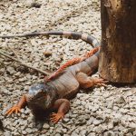 702ec8bb-acbb-4ce1-812c-bd0f643ef36e