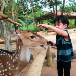 8ddae91a-0010-400b-a3b4-81b071c12cae