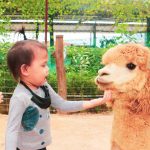 811b4ccc-a4c9-46b1-a95f-ab75beec00b0