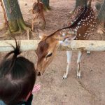 13991ebf-615f-4e26-b5cf-e0aa12f93e79