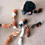 6d083b94-aeb8-40a3-9235-2d94805d999c