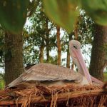 a9eeb3c5-0a36-4be4-b4c8-ed89652fa15d