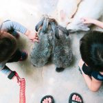 d99d644f-3ef9-4a3d-9f2a-1f1c35347a3e