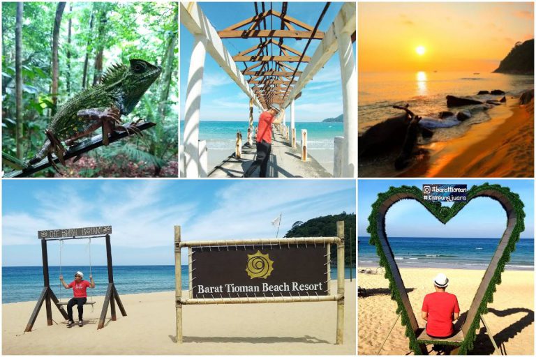 Percutian Solo & Tenang Di Kampung Juara Pulau Tioman. Satu-Satunya Kampung Di Tioman Menghadap Laut Lepas