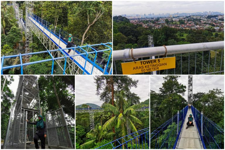 Forest Skywalk FRIM Beri Peluang Korang Berjalan Gapai Langit. Dibenarkan Untuk Umur 7 Tahun Ke Atas Sahaja Ya!
