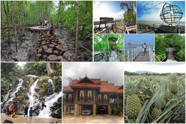 5 Port Wajib Bersiar-Siar Di Pontian. Dari Hutan Hijau, Ladang Nanas & Boleh Terus Mandi Laut