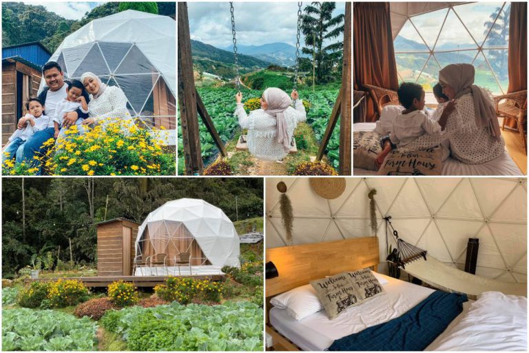 A’moss Farmstay Cameron Highland, Glamping Bersuhu Sejuk Ala ‘Whitepod Switzerland’ Yang Istimewa