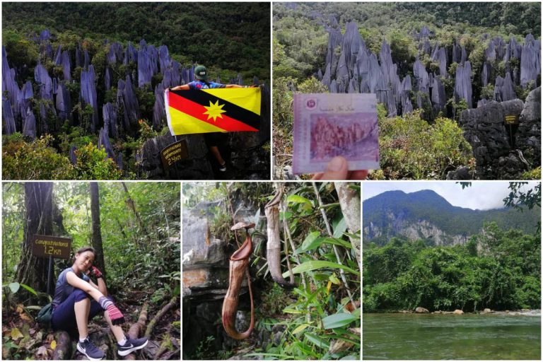 Pengalaman Indah Jejak Mulu Pinnacles, Tapak Warisan Dunia Di Sarawak. Imej Duit Kertas RM100 Tu!