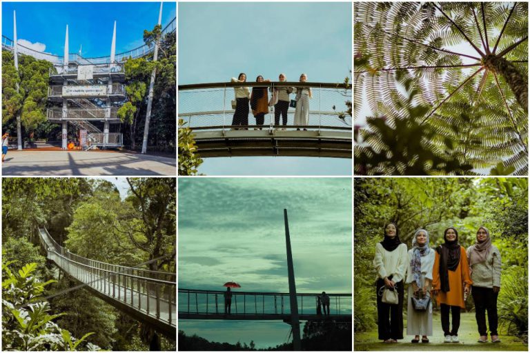 The Habitat Bukit Bendera, Hutan Simpanan Kekal Berusia 130 Juta Tahun