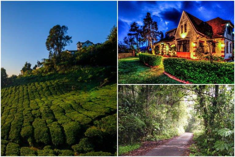 Kisah Kehilangan Misteri Pada 1967. Satu Dunia Kenal Nama Cameron Highlands!