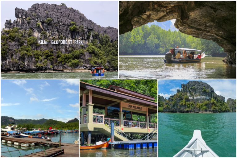 Pelayaran Sungai Kilim Geoforest Park Bawa Pengunjung Tinjau Alam Hijau Langkawi
