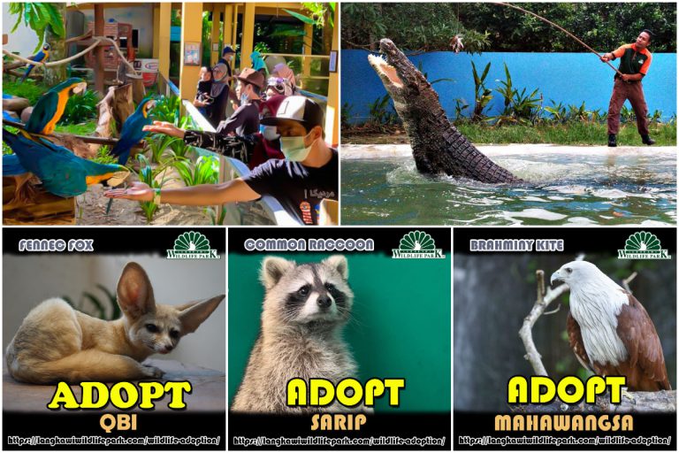 Ikut Inisiatif Zoo Negara, Haiwan Di Taman Hidupan Liar Langkawi Sedia Dijadikan ‘Haiwan Angkat’