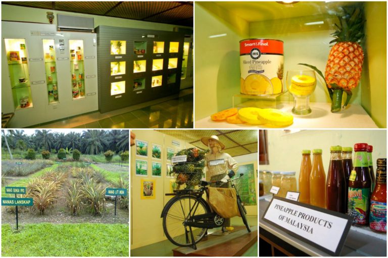 Daripada Buah, Boleh Jadi Songket. 1001 Kisah Menarik Buah Nanas Hanya Di Muzium Nanas Pontian