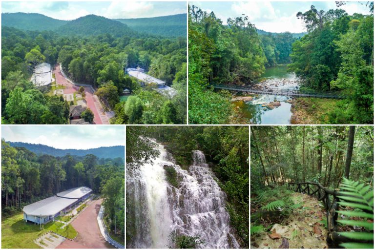 Taman Negeri Rompin, Hutan Hujan Tropika Antara Tertua Di Dunia, Wow!
