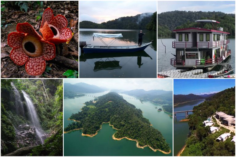 9 Perkara Best Boleh Buat Kalau ‘Check-In’ Di Hutan Royal Belum, Gerik