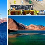 Untitled design (53)