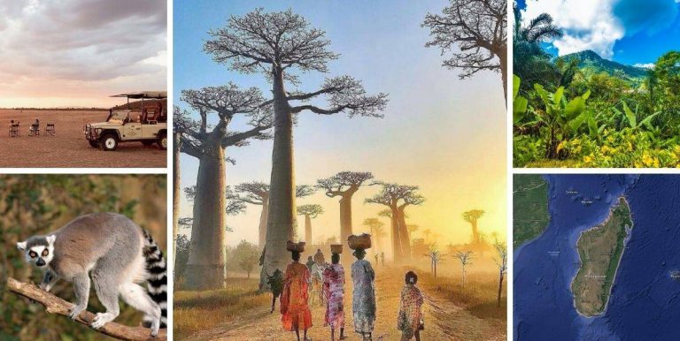 Pokok Boabab & Haiwan Lemur, Dua Mercu Tanda Ini Jadikan Republik Madagascar  Unik