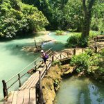 18767586_957543771015412_4593910579335919240_n