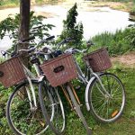 18664494_957543901015399_1785385557583927360_n