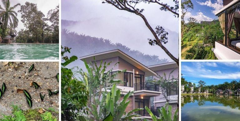 Bagai Berada Di Dunia Fantasi! Sementra Nature Resort Janjikan Ketenangan