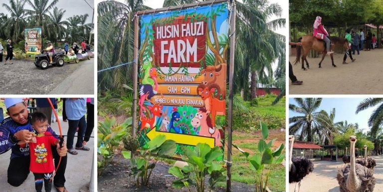 Berkuda Serendah RM5, Husin Fauzi Farm Taman Haiwan Di Kuala Selangor Tawar  Keseronokan Buat Anak-Anak