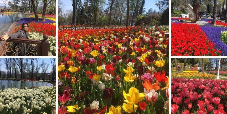 Nikmati Keindahan Tulip Di Emirgan Park, Turkey