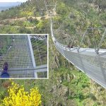 185539817_2931463267111738_2854598920504365239_n