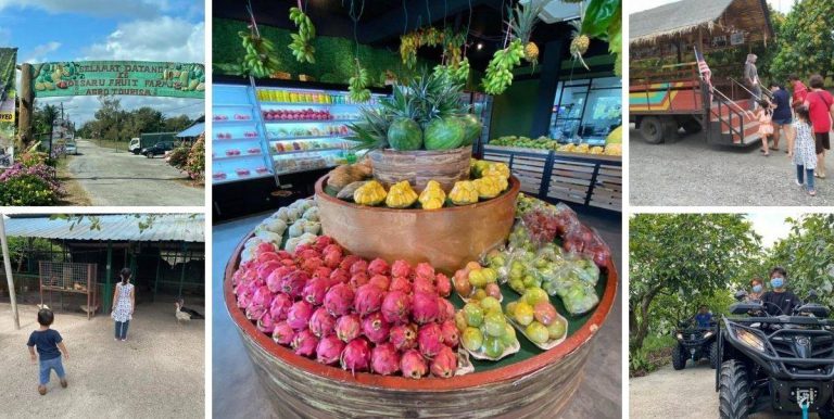 Rasai Suasana Dusun Di Desaru Fruit Farm