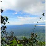 Untitled design (14)