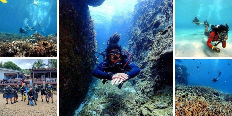 Terokai Dasar Laut Nan Biru! Pasti Ramai Rindu Nak Menyelam Di Pulau Tioman