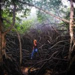 198572373_4461988980491533_1898770707906721208_n