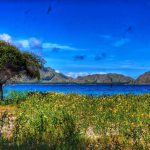 197386290_4461989797158118_195689111863991677_n