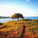 199052601_4461989470491484_5396831616904825062_n