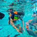 196033461_4461988187158279_7441105986915125248_n (1)