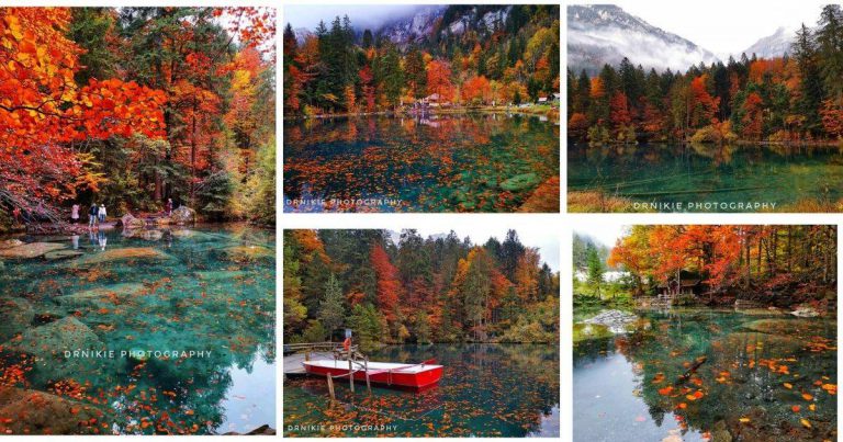 Lake Blausee, Hidden Gem Di Switzerland.  Layan Pemandangan Tasik Warna Turquoise, Di Musim Autumn!