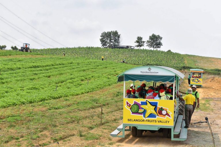 Destinasi Percutian Agro Paling Best Di Selangor, 5 Lokasi Wajib Anda Lawati Nanti!